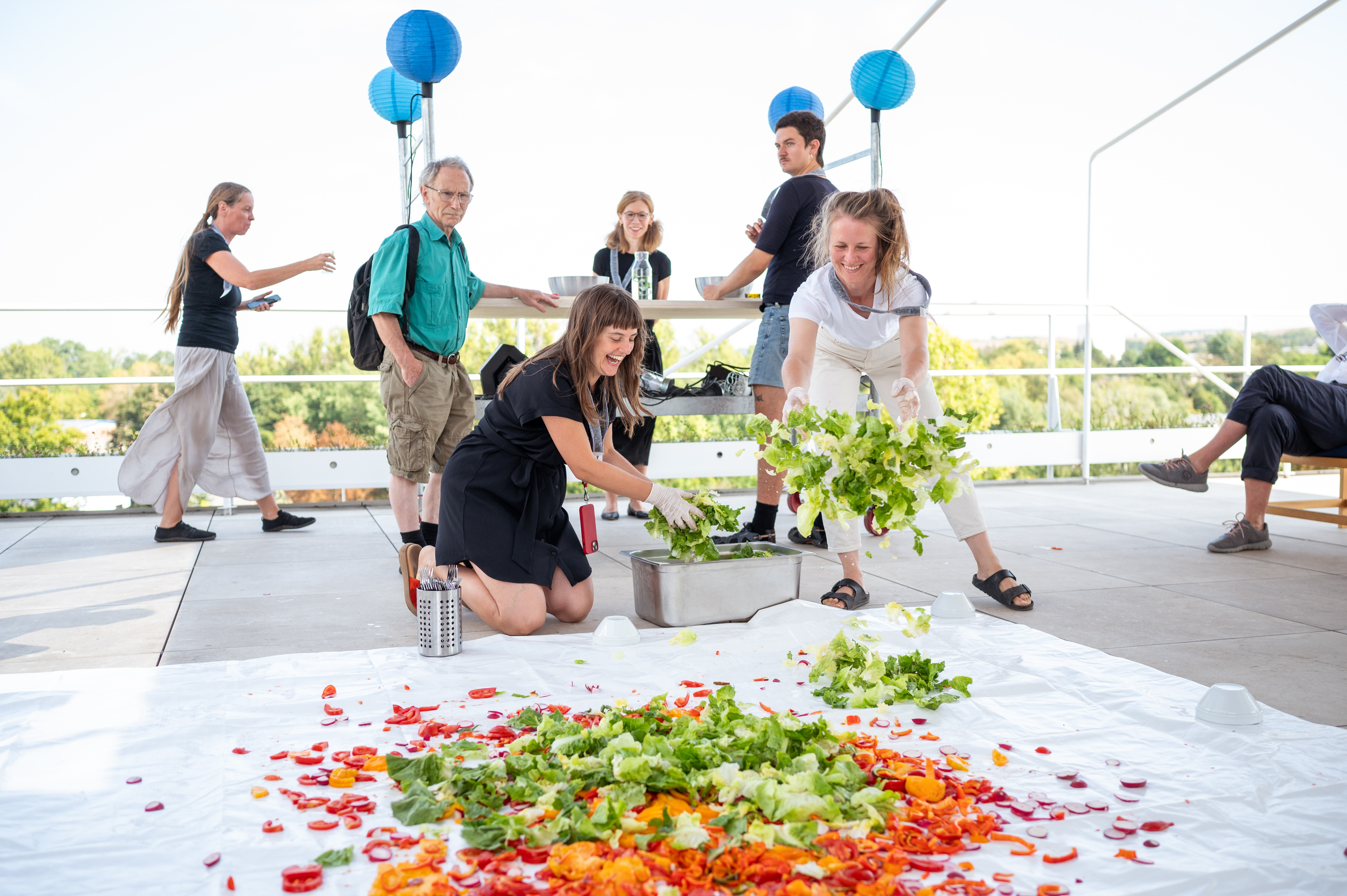 Bildbeschreibungstext